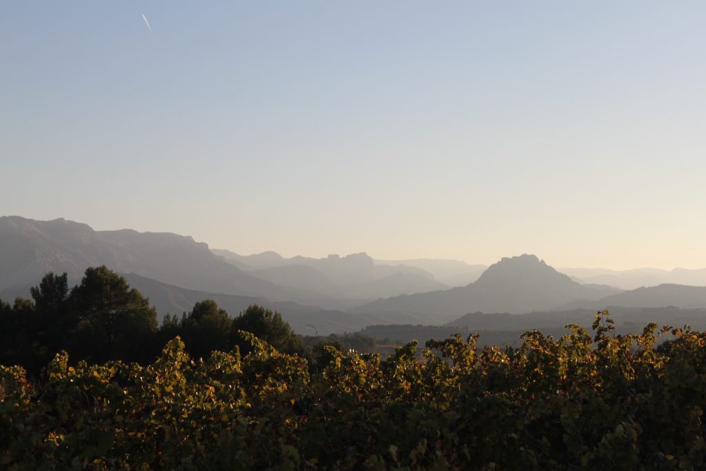 Partida de la Cendroseta, del Celler Bàrbara Forés